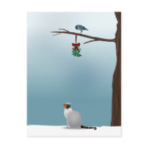 Cat, bird and mistletoe