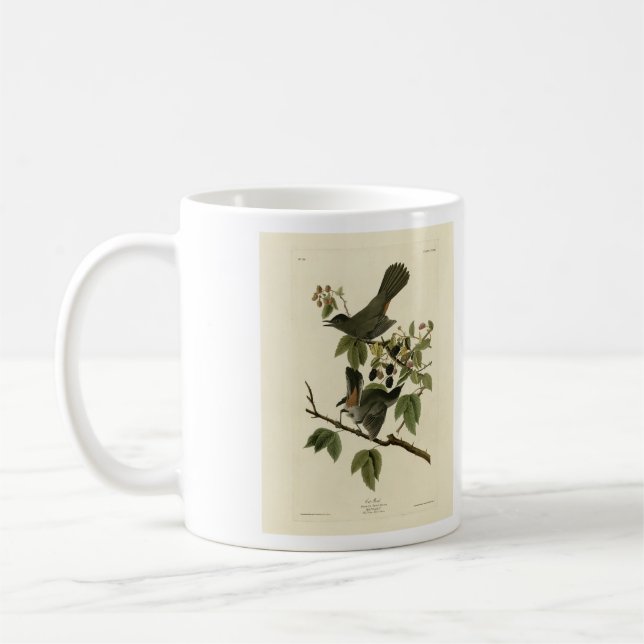 Cat Bird (Grey Catbird) Audubon's Birds of America Coffee Mug (Left)