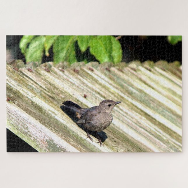 Cat Bird Jigsaw Puzzle (Horizontal)