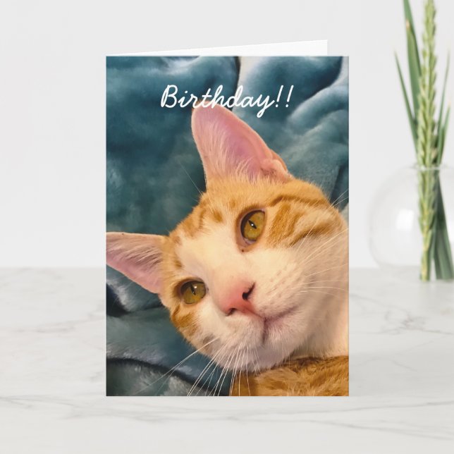 Cat Birthday Card (Front)