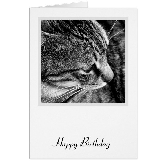 Cat Birthday Card (Front)
