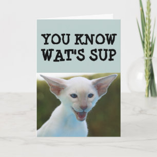 CAT BIRTHDAY FUNNY CARD
