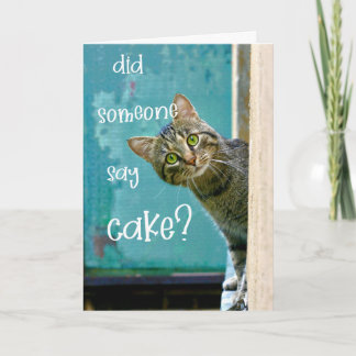 Cat Birthday, Funny, Did Someone Say Cake Card