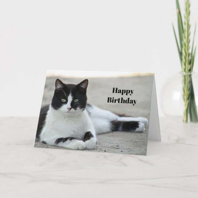 Cat Black and White Tuxedo Photo Birthday Card (Front)