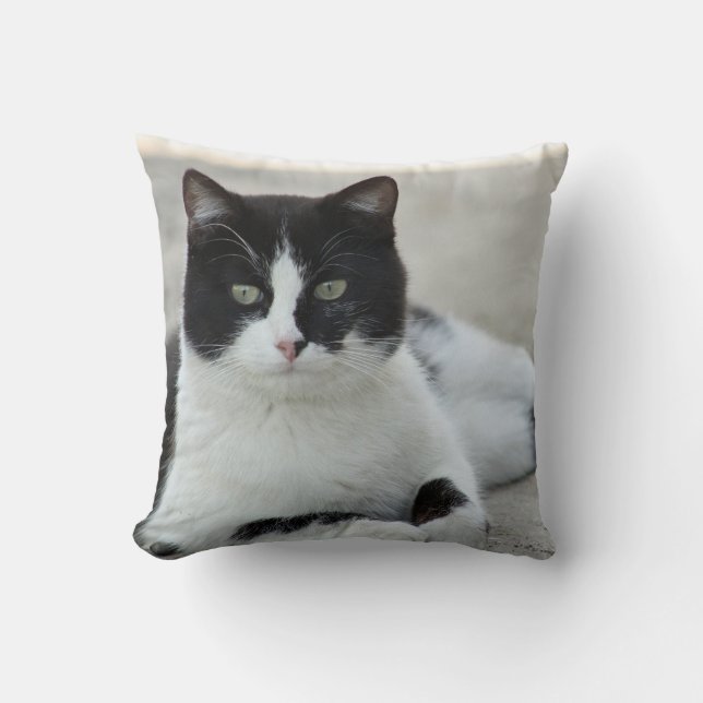 Cat Black and White Tuxedo Photo Cushion (Front)