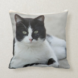 Cat Black and White Tuxedo Photo Cushion