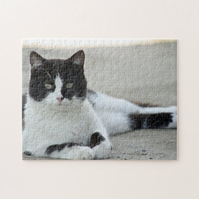 Cat Black and White Tuxedo Photo Jigsaw Puzzle (Horizontal)