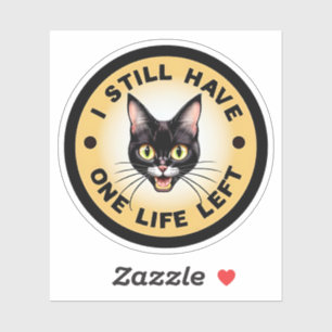cat, black cat, kitty, cute, animal, cats, pet,