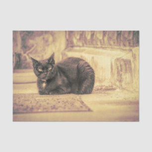 Cat Black Cute Vintage Antique Sepia Art Tissue Paper