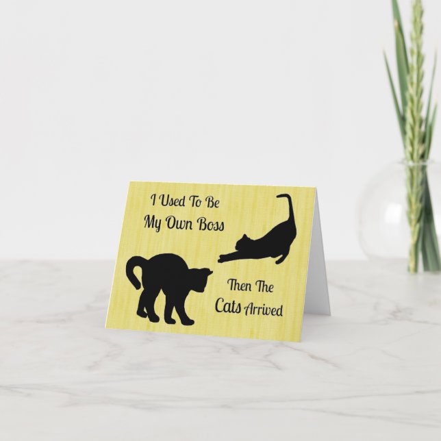 Cat Boss Note Cards (Front)