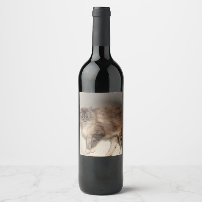 Cat Bottle Label (Front)