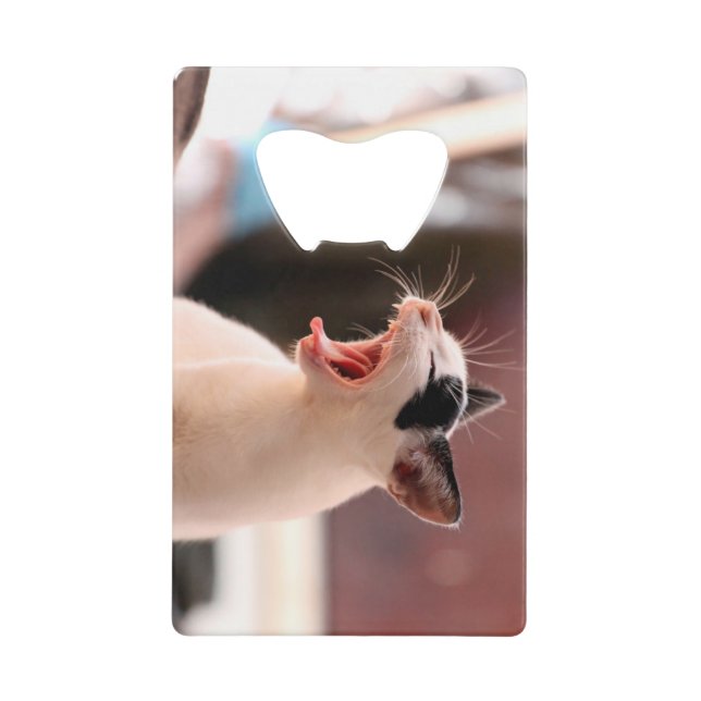 Cat Bottle Opener (Front)