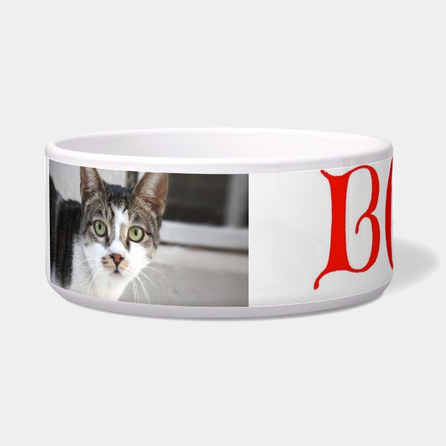 Cat Bowl (Front)