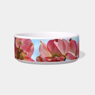 Cat Bowl Pink Dogwood Tree Flowers Blue Sky