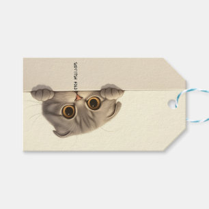 Cat Breed Scottish Fold Gift Tags