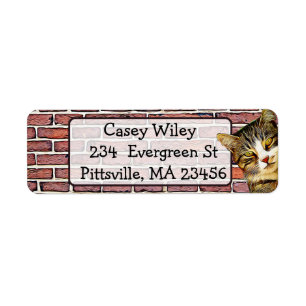 Cat Brick Wall  background  Address Label Return Address Label