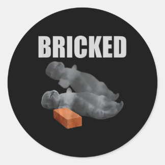 Cat Bricked Funny Knocked Out Meme Silly Cats Sayi Classic Round Sticker