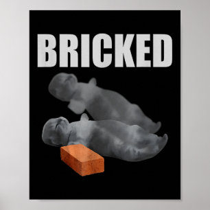 Cat Bricked Funny Knocked Out Meme Silly Cats Sayi Poster