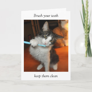Cat brushing teeth card