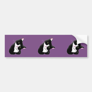 Cat Bumper Sticker