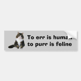 Cat Bumper Sticker