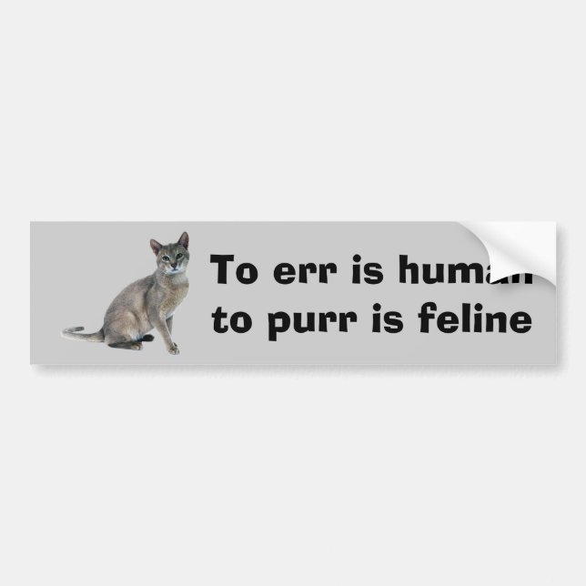 Cat Bumper Sticker (Front)