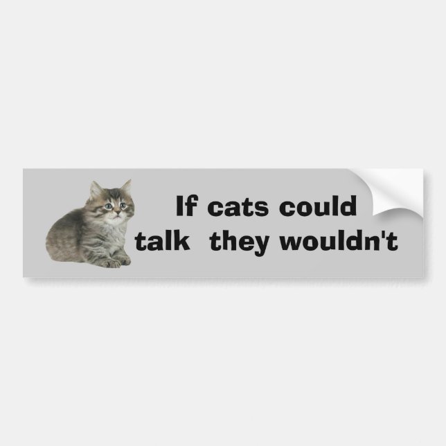 Cat Bumper Sticker (Front)