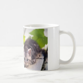 Cat & Bunny Best Friends Mug