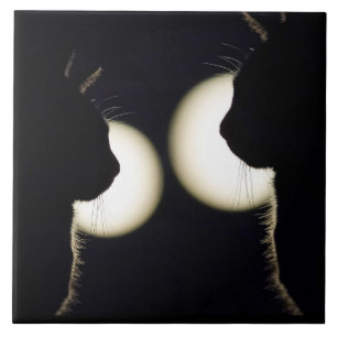 Cat Burglars Spotted Ceramic Tile