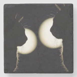 Cat Burglars Spotted Stone Coaster
