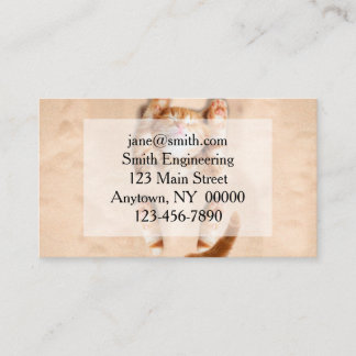 Cat buried in the sand business card