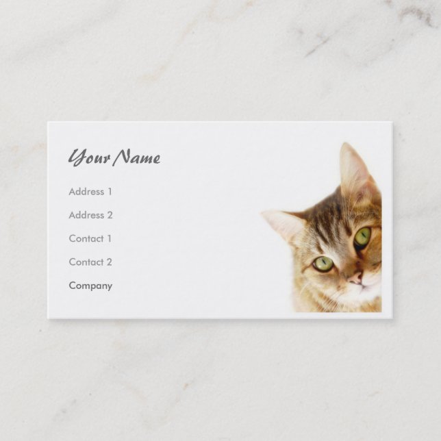Cat Business Card (Front)