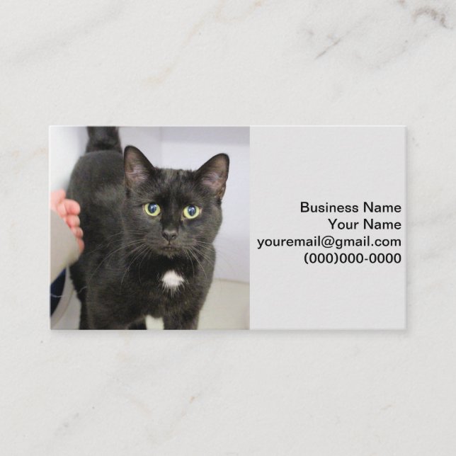 Cat Business Card (Front)