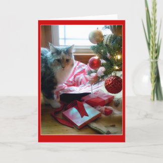 Cat busted opening Christmas present early Holiday Card