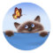Cat & Butterfly