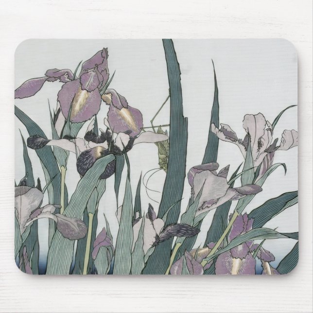 Cat & Butterfly, XuGu (Zhu Huairen) Mouse Pad (Front)