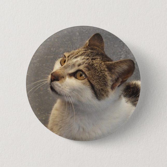 Cat button (Front)