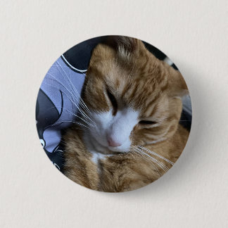 Cat Button