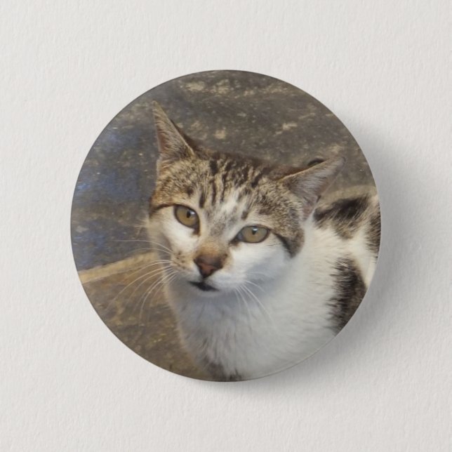 Cat button (Front)