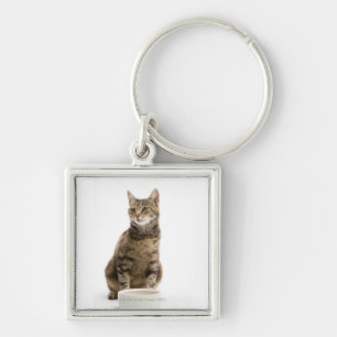 Cat by bowl key ring