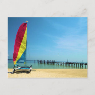 Cat by the Sea  -  Sailing Postcard