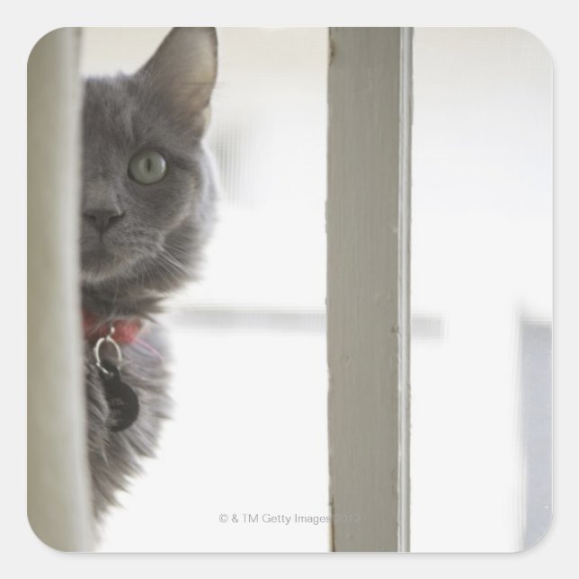 Cat by window square sticker (Front)