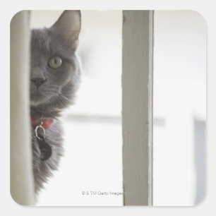 Cat by window square sticker