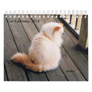 Cat Calendar