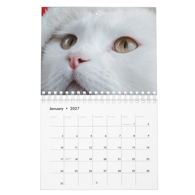 Cat Calendar (Jan 2027)