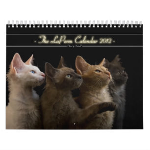 Cat Calendar 2012