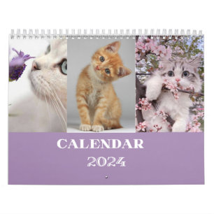 cat calendar 2024 - modern cut calendar