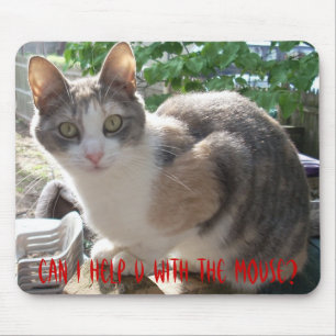 CAT: Can I Help U With The Mouse? Mouse Pad