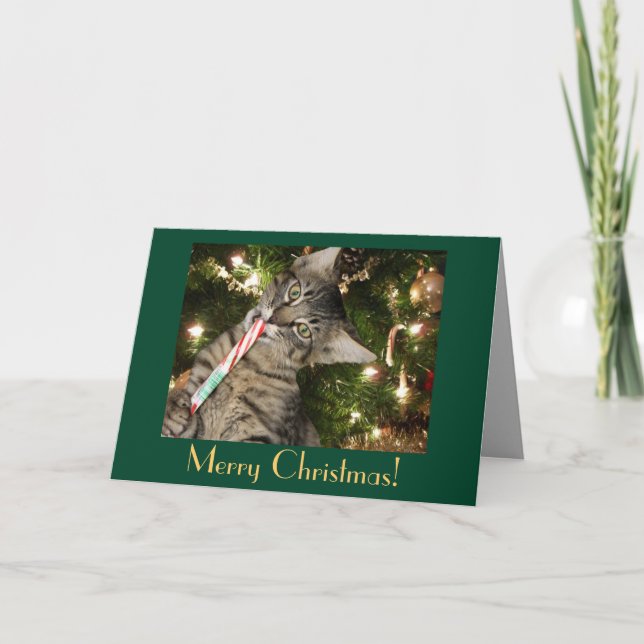 Cat Candy Cane Blank Christmas Card (Front)