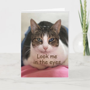 CAT CAN'T BELIEVE YOU ARE "70" CARD